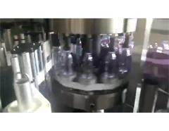 DDU-G15-1 fully automatic rotary mineral water labeling machine