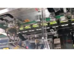 DDU-120 sanitary napkin pad automatic packing machine