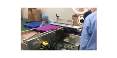 DDU-120口服液贴标入托装盒生产线